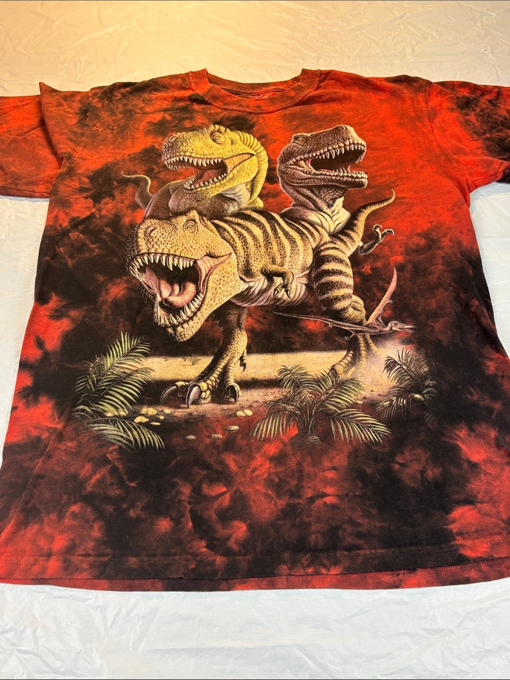 THE MOUNTAIN DINOSAUR WORLD T SHIRT